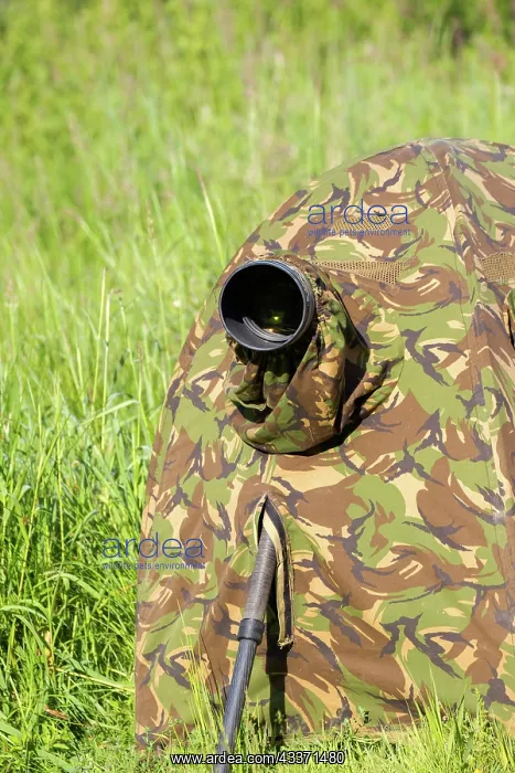 : 80190479 Hide - for wildlife photography Dombes : 80190479 Hide - for wildlife photography Dombes