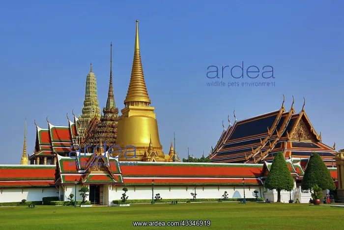 : 80191411 Phra Si Rattana Chedi gold stupa, Phra : 80191411 Phra Si Rattana Chedi gold stupa, Phra