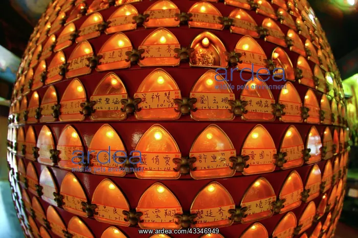 : 80191414 Prayer boxes inside the Temple inside statue : 80191414 Prayer boxes inside the Temple inside statue