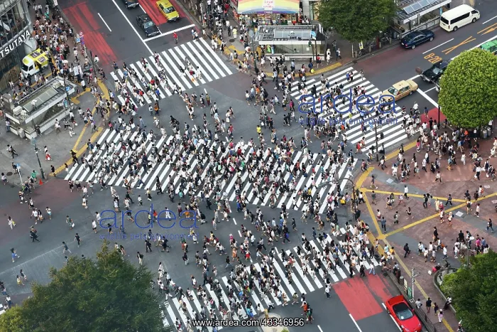 : 80191415 People crossing the pedestrian crossing : 80191415 People crossing the pedestrian crossing