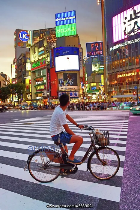 : 80191420 Sunset at the pedestrian crossing at the : 80191420 Sunset at the pedestrian crossing at the