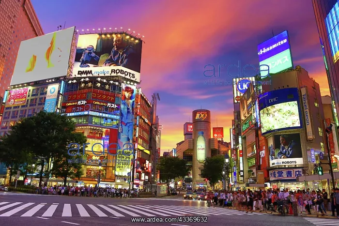 : 80191421 Buildings at sunset at the pedestrian crossing : 80191421 Buildings at sunset at the pedestrian crossing