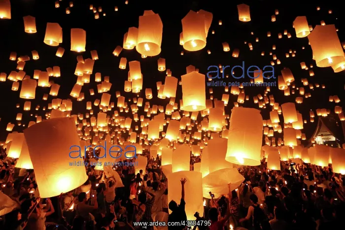 : 80191424 Yee Peng Sansai Floating Lantern Ceremony : 80191424 Yee Peng Sansai Floating Lantern Ceremony