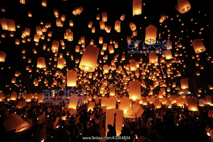 : 80191425 Khom Loy Lanterns at the Yee Peng Sansai : 80191425 Khom Loy Lanterns at the Yee Peng Sansai