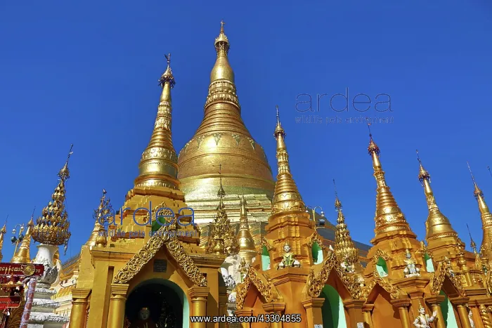 : 80191429 Gold stupa and spires at the Shwedagon : 80191429 Gold stupa and spires at the Shwedagon