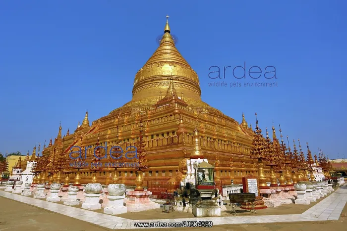 : 80191433 Shwezigon Paya Pagoda in Nuang U, Bagan : 80191433 Shwezigon Paya Pagoda in Nuang U, Bagan