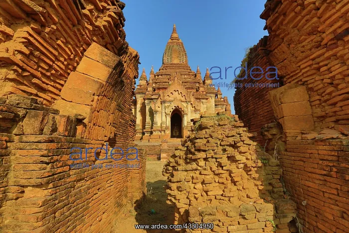 : 80191437 Shwe Leik Too Pagoda in Bagan, Myanmar : 80191437 Shwe Leik Too Pagoda in Bagan, Myanmar