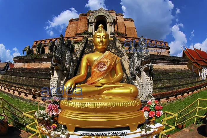 : 80191439 Gold Buddha statue at Wat Chedi Luang Temple : 80191439 Gold Buddha statue at Wat Chedi Luang Temple