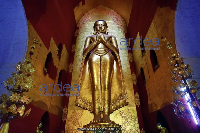 : 80191441 Buddha statue in Ananda Pagoda Temple in : 80191441 Buddha statue in Ananda Pagoda Temple in