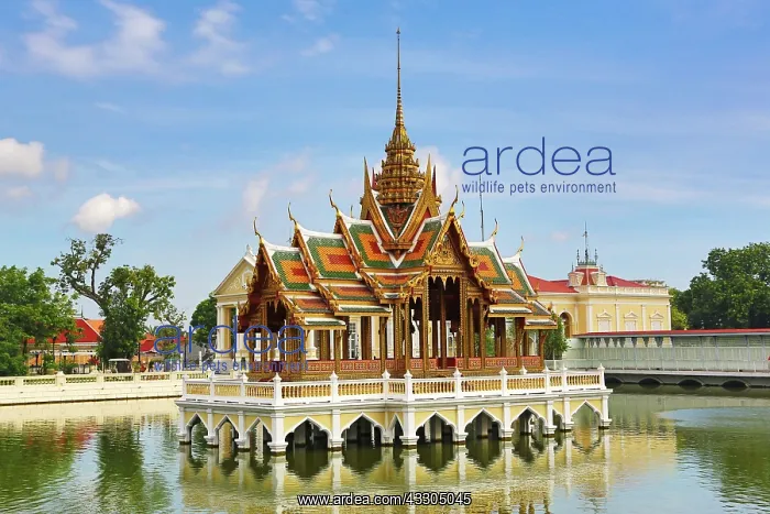 : 80191444 Aisawan-Dhipaya-Asana Pavilion, Bang Pa-In : 80191444 Aisawan-Dhipaya-Asana Pavilion, Bang Pa-In