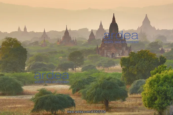 : 80191449 Temples and pagodas at sunset on the Central : 80191449 Temples and pagodas at sunset on the Central