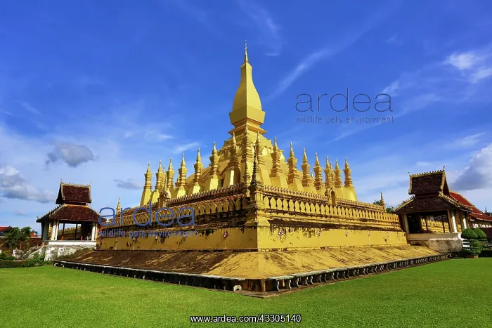 : 80191452 Pha That Luang gold Stupa, Vientiane, Laos : 80191452 Pha That Luang gold Stupa, Vientiane, Laos