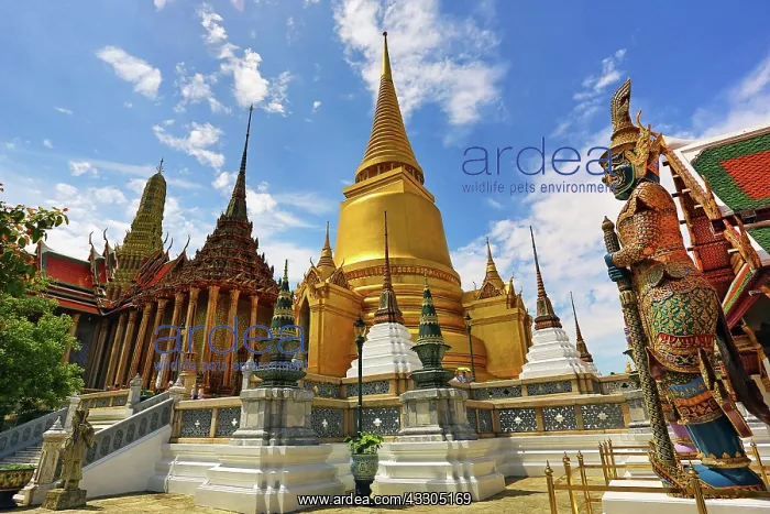 : 80191454 Phra Siratana Chedi Golden Stupa, Wat Phra : 80191454 Phra Siratana Chedi Golden Stupa, Wat Phra