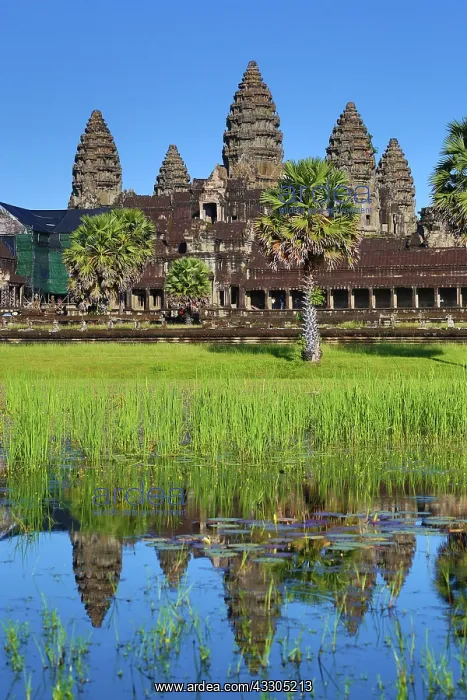 : 80191457 Angkor Wat Temple and reflection in pool : 80191457 Angkor Wat Temple and reflection in pool