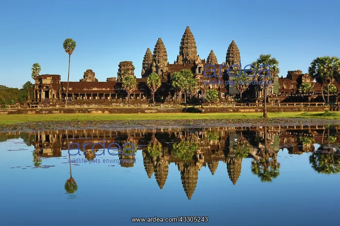 : 80191459 Angkor Wat Temple, Siem Reap, Cambodia : 80191459 Angkor Wat Temple, Siem Reap, Cambodia