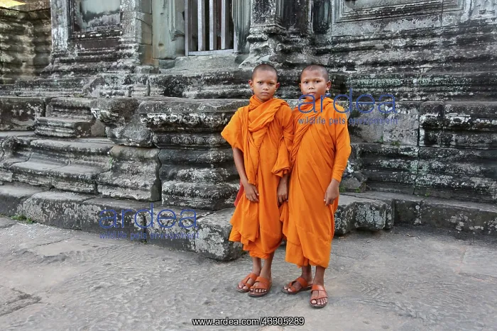 : 80191463 Angkor Wat Temple, Siem Reap, Cambodia : 80191463 Angkor Wat Temple, Siem Reap, Cambodia