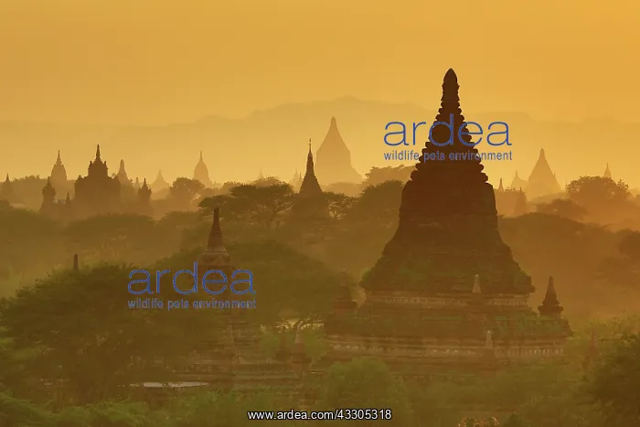 : 80191465 Temples and pagodas at sunset on the Central : 80191465 Temples and pagodas at sunset on the Central