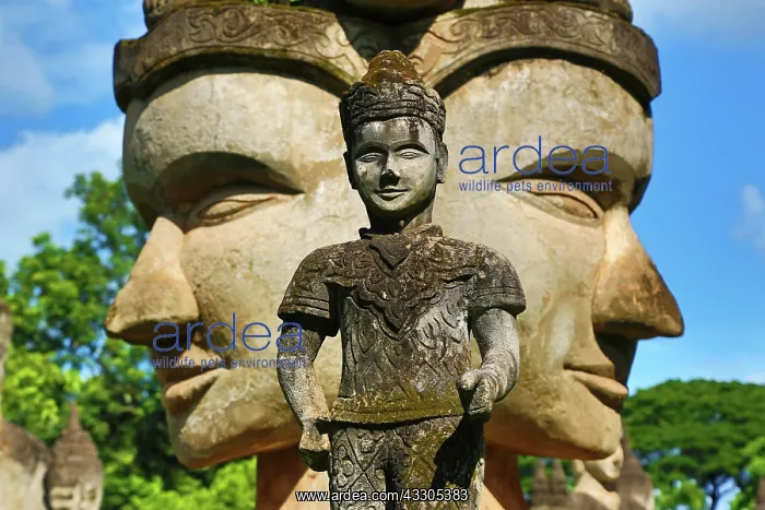 : 80191471 Statues of Buddha heads and faces at the : 80191471 Statues of Buddha heads and faces at the
