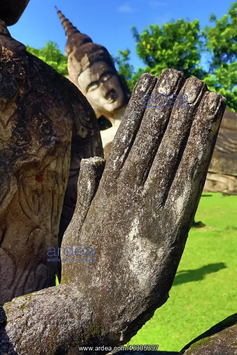 : 80191472 Statues of praying hands and Buddhas at : 80191472 Statues of praying hands and Buddhas at