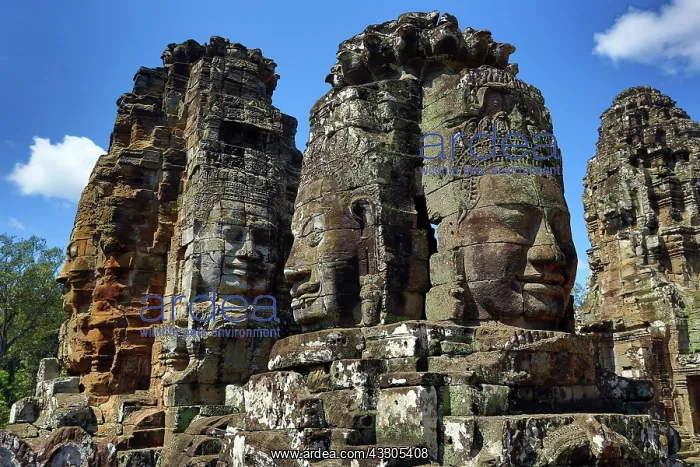 : 80191473 Giant face statue at Bayon, Khmer Temple : 80191473 Giant face statue at Bayon, Khmer Temple