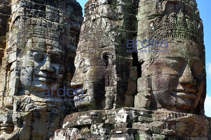 : 80191474 Giant face statue at Bayon, Khmer Temple : 80191474 Giant face statue at Bayon, Khmer Temple
