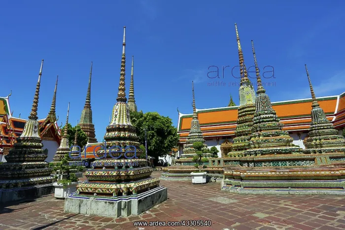 : 80191483 Spires of Chedis at Wat Pho temple, Bangkok : 80191483 Spires of Chedis at Wat Pho temple, Bangkok