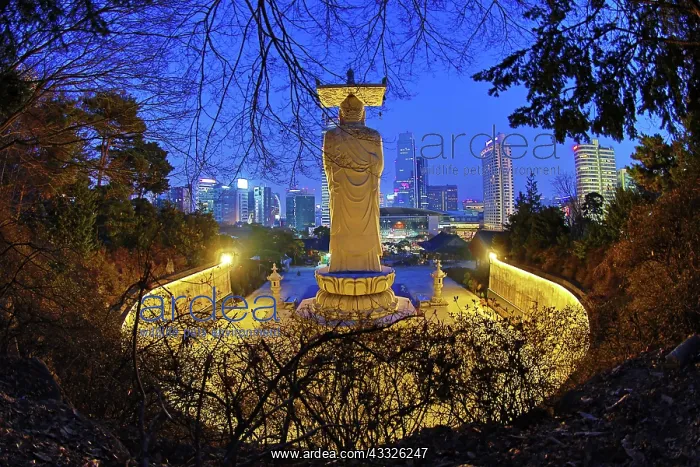 : 80191485 Buddha statue and the city skyline at Bongeunsa : 80191485 Buddha statue and the city skyline at Bongeunsa