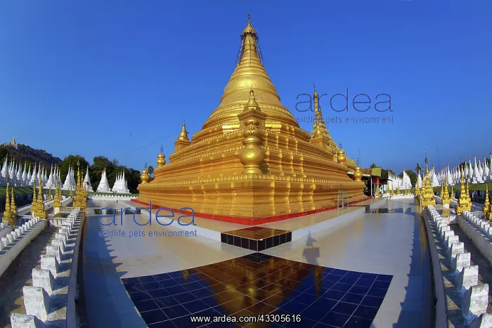 : 80191492 Gold stupa of Sandamuni Pagoda, Mandalay : 80191492 Gold stupa of Sandamuni Pagoda, Mandalay