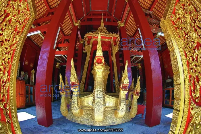 : 80191495 Naga on the golden ceremonial barge in : 80191495 Naga on the golden ceremonial barge in