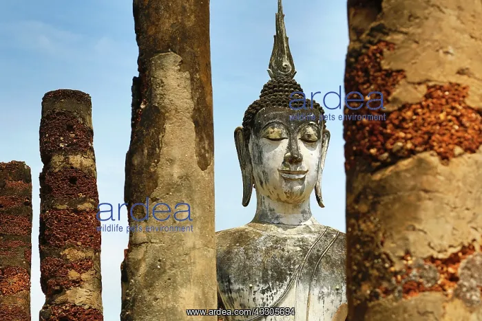 : 80191498 Buddha Statue at Wat Mahathat temple, Sukhotai : 80191498 Buddha Statue at Wat Mahathat temple, Sukhotai