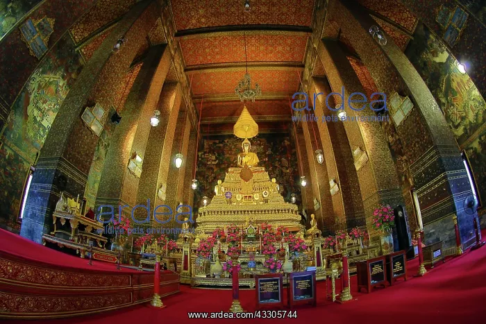 : 80191502 Gold Buddha statues at the Wat Pho Temple : 80191502 Gold Buddha statues at the Wat Pho Temple