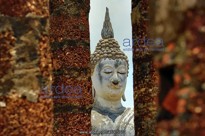 : 80191504 Buddha statue at Wat Sa Si temple, Sukhotai : 80191504 Buddha statue at Wat Sa Si temple, Sukhotai