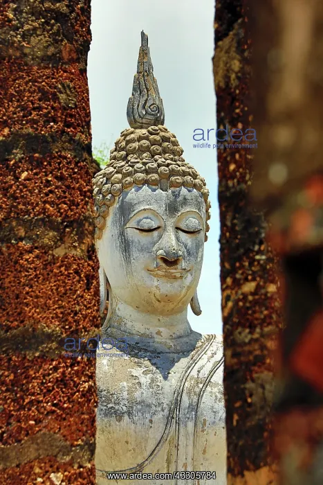 : 80191505 Buddha statue at Wat Sa Si temple, Sukhotai : 80191505 Buddha statue at Wat Sa Si temple, Sukhotai