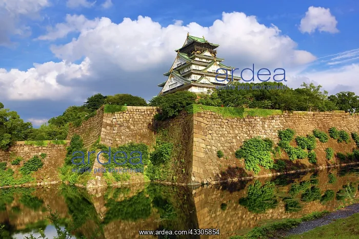  : 80191512 Osaka Castle and ramparts, Osaka, Japan