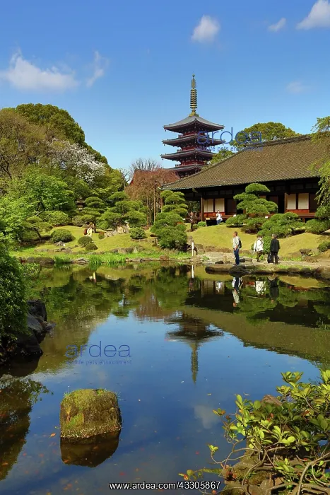 : 80191513 Pagoda and Japanese ornamental garden at : 80191513 Pagoda and Japanese ornamental garden at