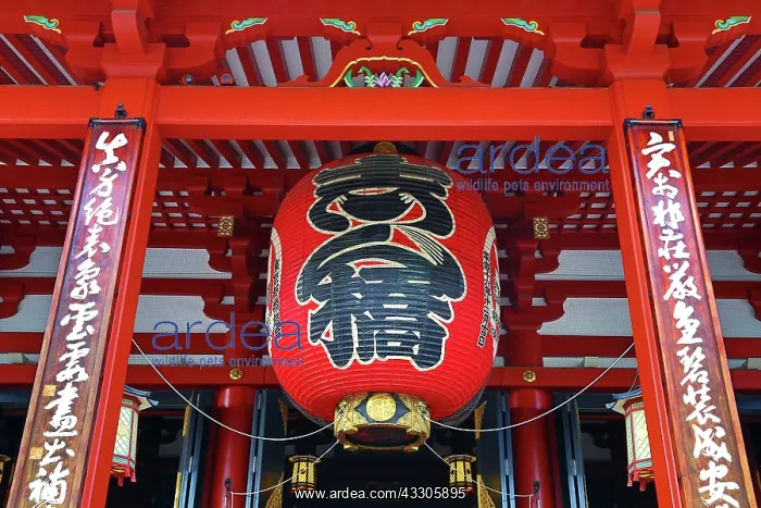: 80191515 Giant red Japanese lantern at Senso-Ji : 80191515 Giant red Japanese lantern at Senso-Ji