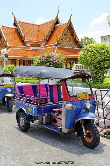: 80191517 Thai Tuk Tuk taxi, Bangkok, Thailand Paul : 80191517 Thai Tuk Tuk taxi, Bangkok, Thailand Paul