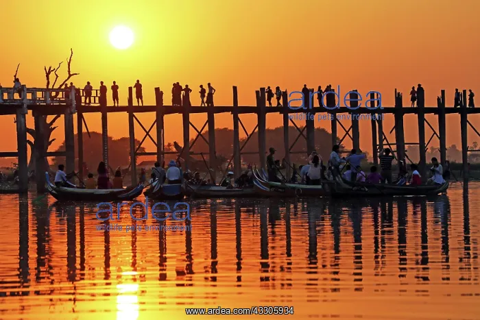 : 80191518 People crossing the U Bein Bridge across : 80191518 People crossing the U Bein Bridge across