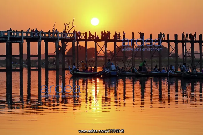 : 80191519 People crossing the U Bein Bridge across : 80191519 People crossing the U Bein Bridge across