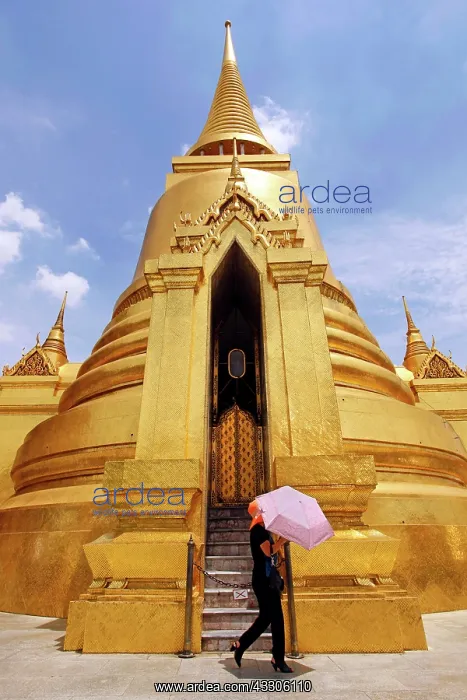 : 80191532 Phra Siratana Golden Chedi on the Upper : 80191532 Phra Siratana Golden Chedi on the Upper