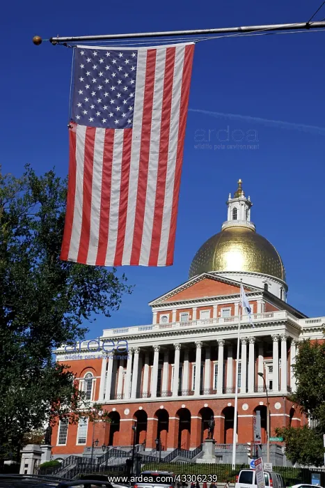 : 80191542 Massachusetts State House with gold dome : 80191542 Massachusetts State House with gold dome