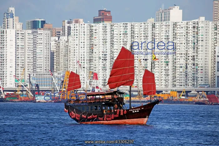: 80191546 Aqua Luna junk ship sailing across Victoria : 80191546 Aqua Luna junk ship sailing across Victoria