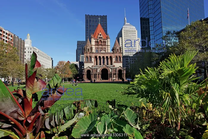  : 80191547 Trinity Church in Copley Square, Boston