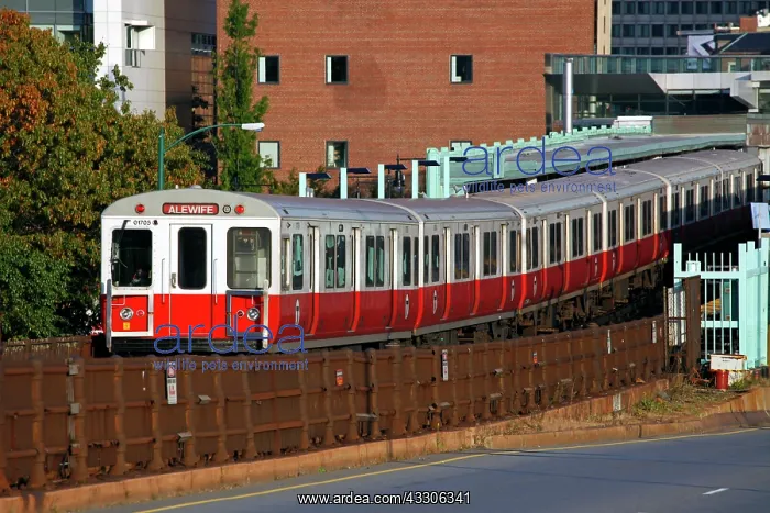 : 80191549 MBTA redline subway train to Alewife, Boston : 80191549 MBTA redline subway train to Alewife, Boston