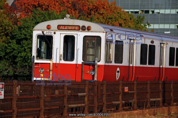 : 80191550 MBTA redline subway train to Alewife, Boston : 80191550 MBTA redline subway train to Alewife, Boston
