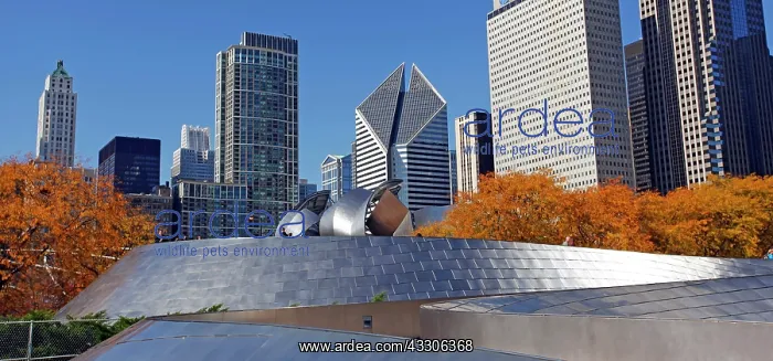 : 80191551 BP metal Pedestrian Bridge and city skyline : 80191551 BP metal Pedestrian Bridge and city skyline