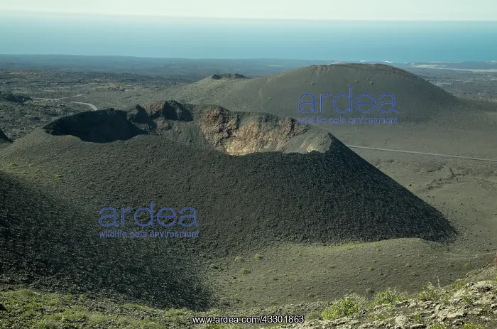 : 80192181 Recent volcanic landscape - with cinder : 80192181 Recent volcanic landscape - with cinder
