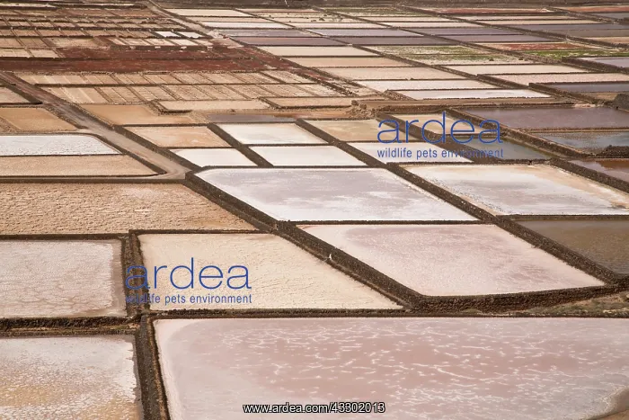 : 80192190 Active saltpans - or Salt evaporation ponds : 80192190 Active saltpans - or Salt evaporation ponds