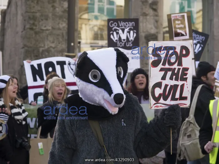 : 80192538 Birmingham Wildlife Festival & Badger March : 80192538 Birmingham Wildlife Festival & Badger March