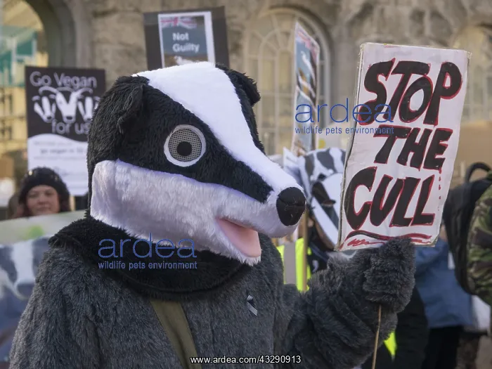 : 80192539 Birmingham Wildlife Festival & Badger March : 80192539 Birmingham Wildlife Festival & Badger March